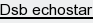 dsb echostar